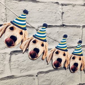 dog party ideas